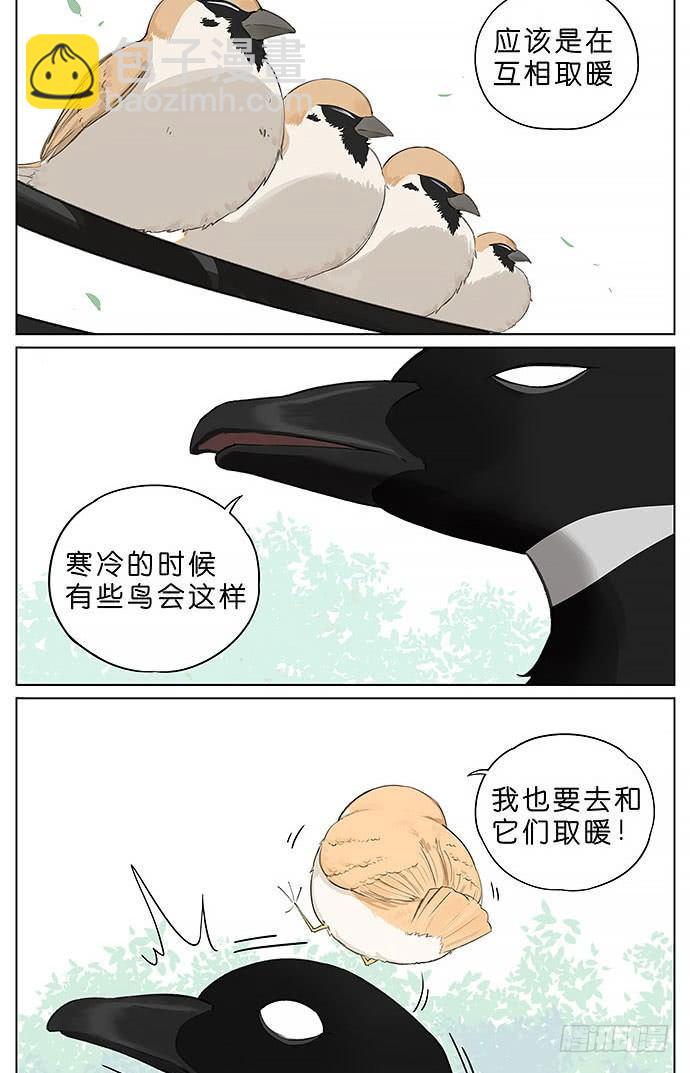 冬天相互取暖的鸟。-第24话