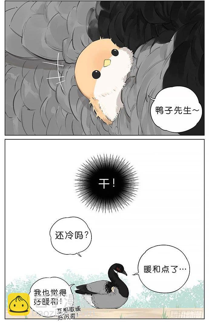 冬天相互取暖的鸟。-第24话