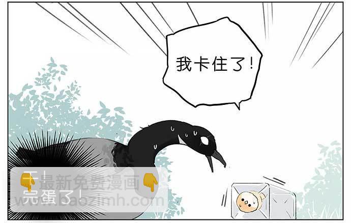 麻雀的鸟巢。-第26话