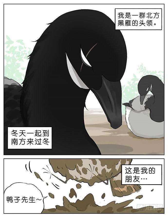 南方的鳥和北方的鳥 - 玩泥巴的鳥。 - 1