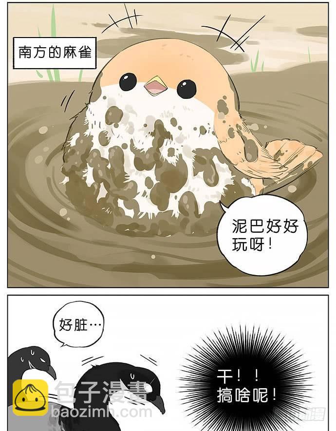 玩泥巴的鸟。-第28话