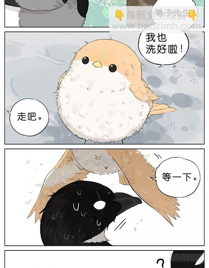 南方的鳥和北方的鳥 - 玩泥巴的鳥。 - 2