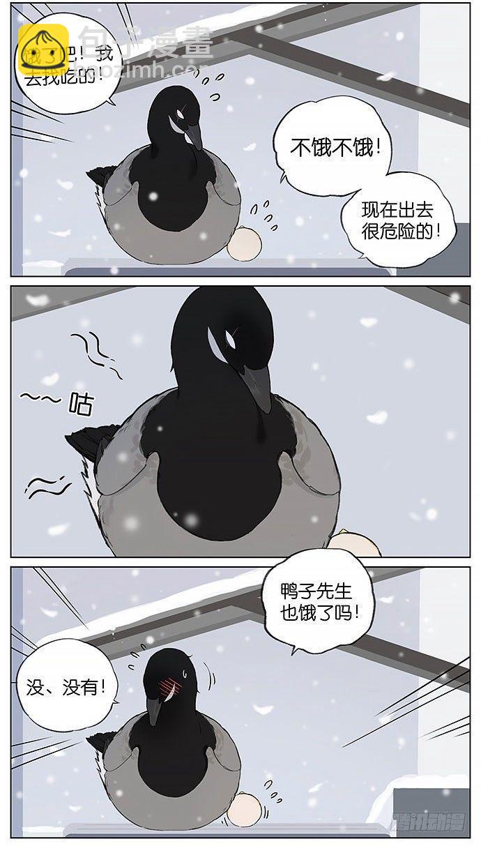 南方的鳥和北方的鳥 - 暴風雪。 - 1