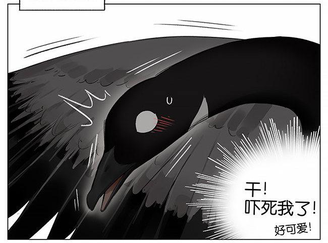 卷纸芯。-第4话