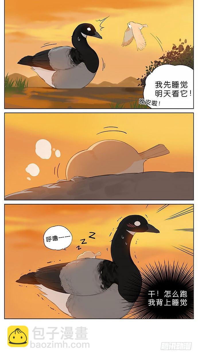 春天的鸟。-第32话