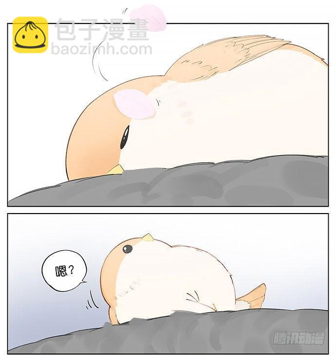 春天的鸟。-第32话