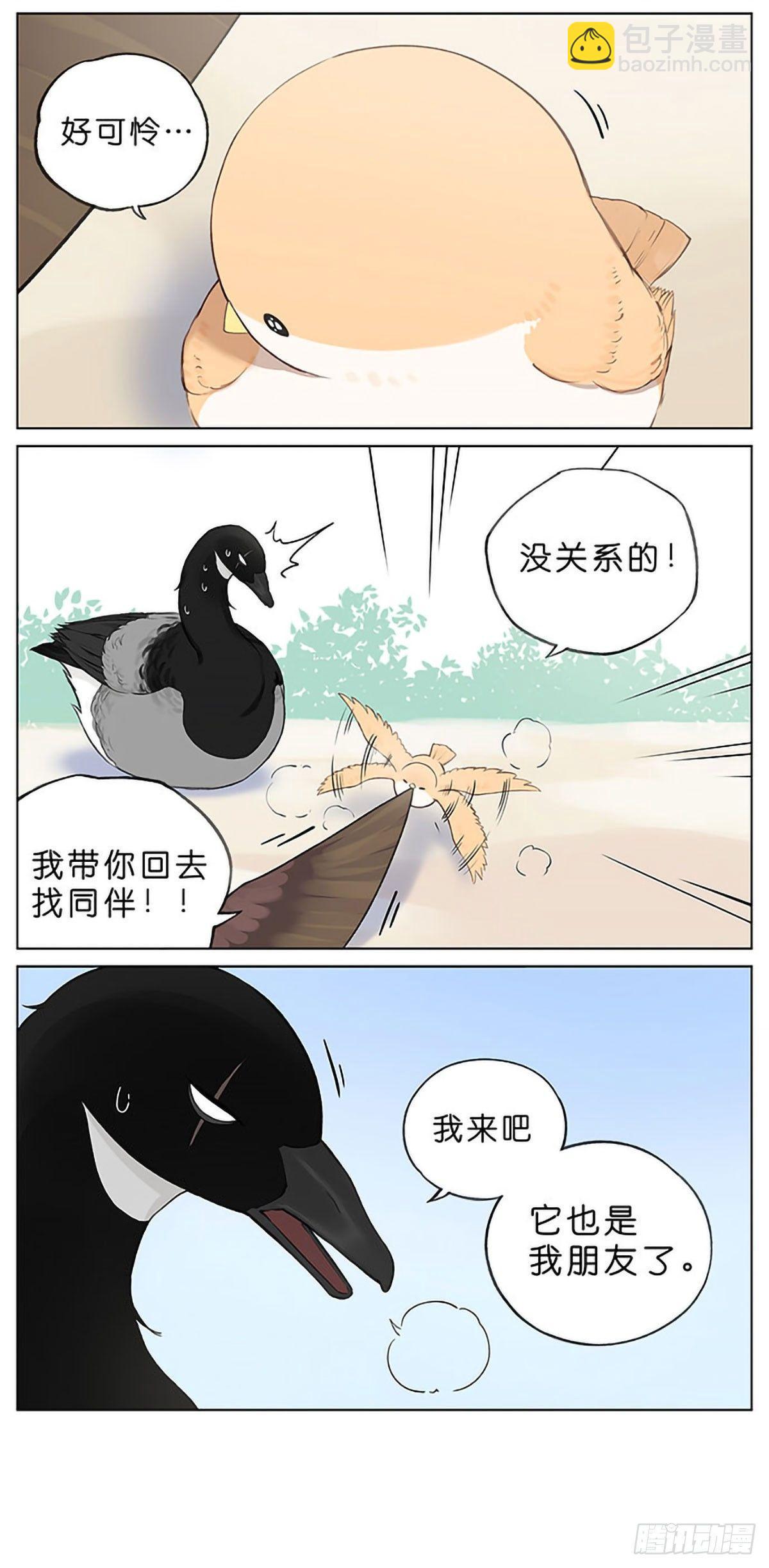 春天的风筝。-第34话