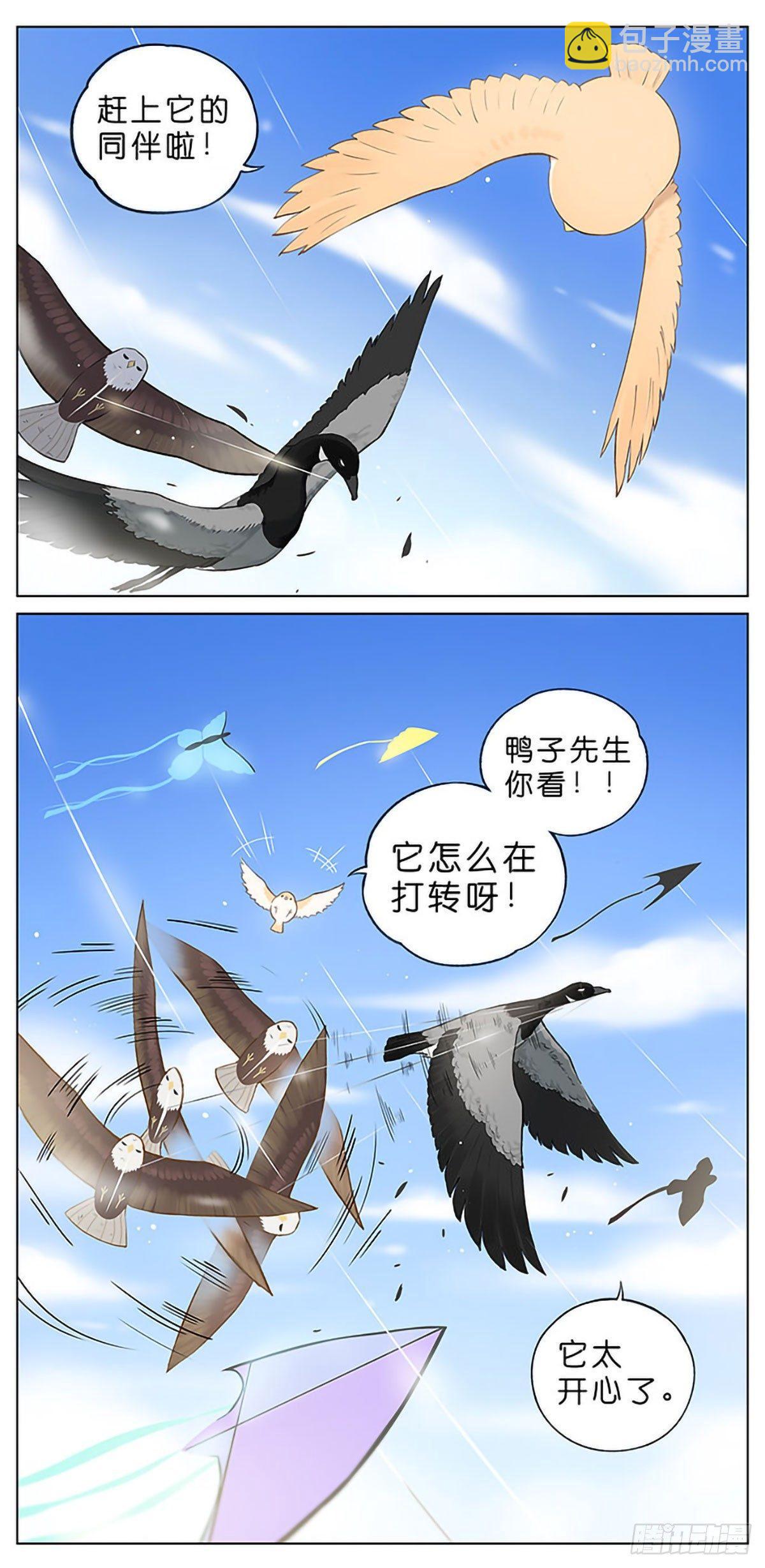 南方的鳥和北方的鳥 - 春天的風箏。 - 1