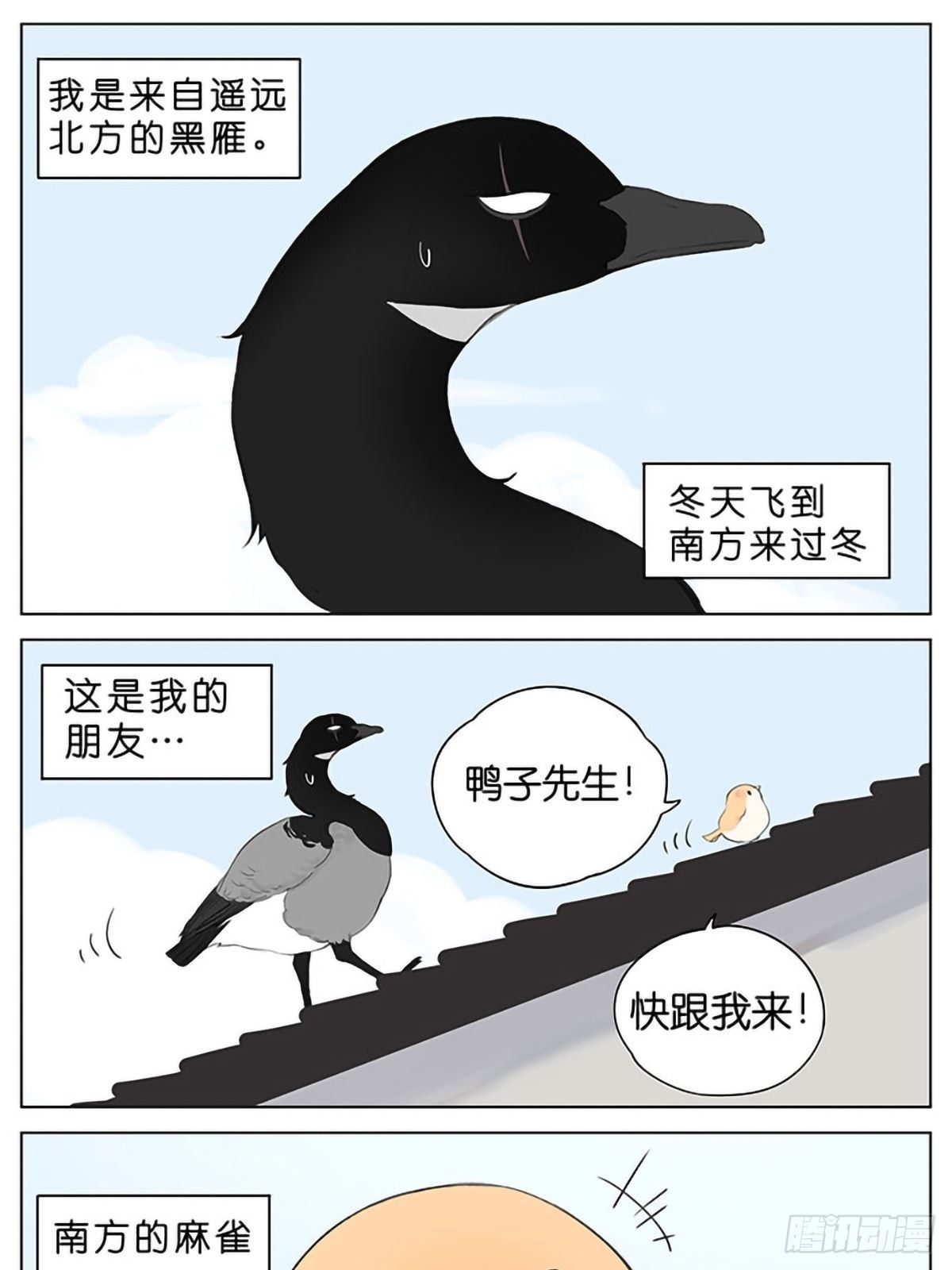 南方的鳥和北方的鳥 - 偷吃的麻雀。 - 1