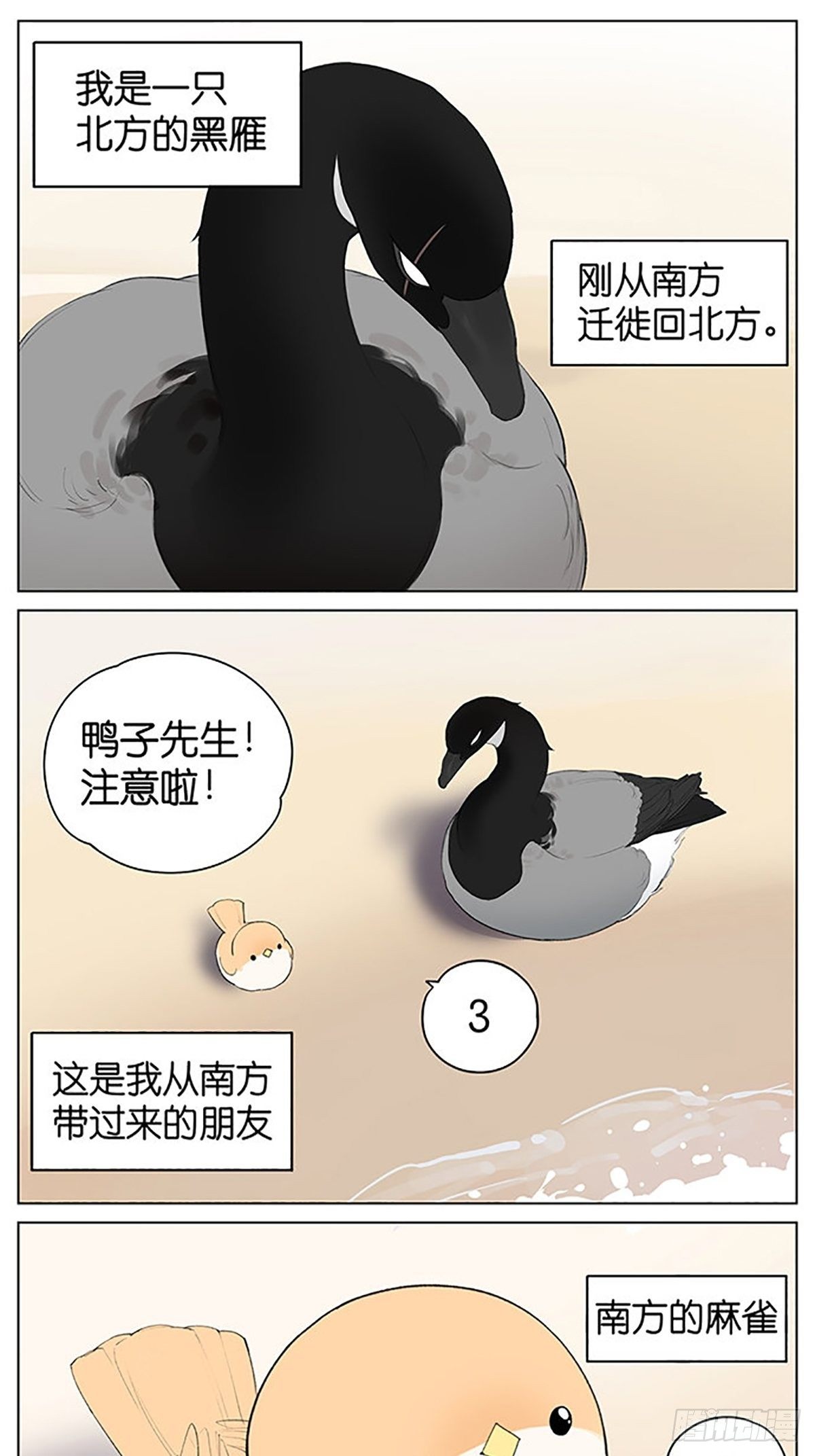 沙滩上的鸟，夏天啦！-第40话