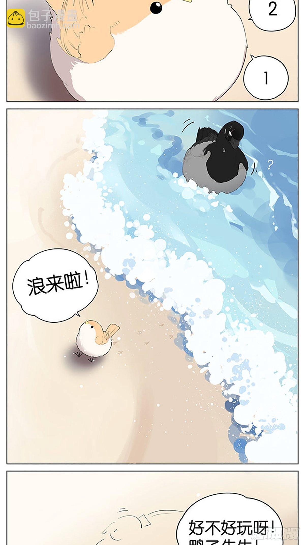 沙滩上的鸟，夏天啦！-第40话