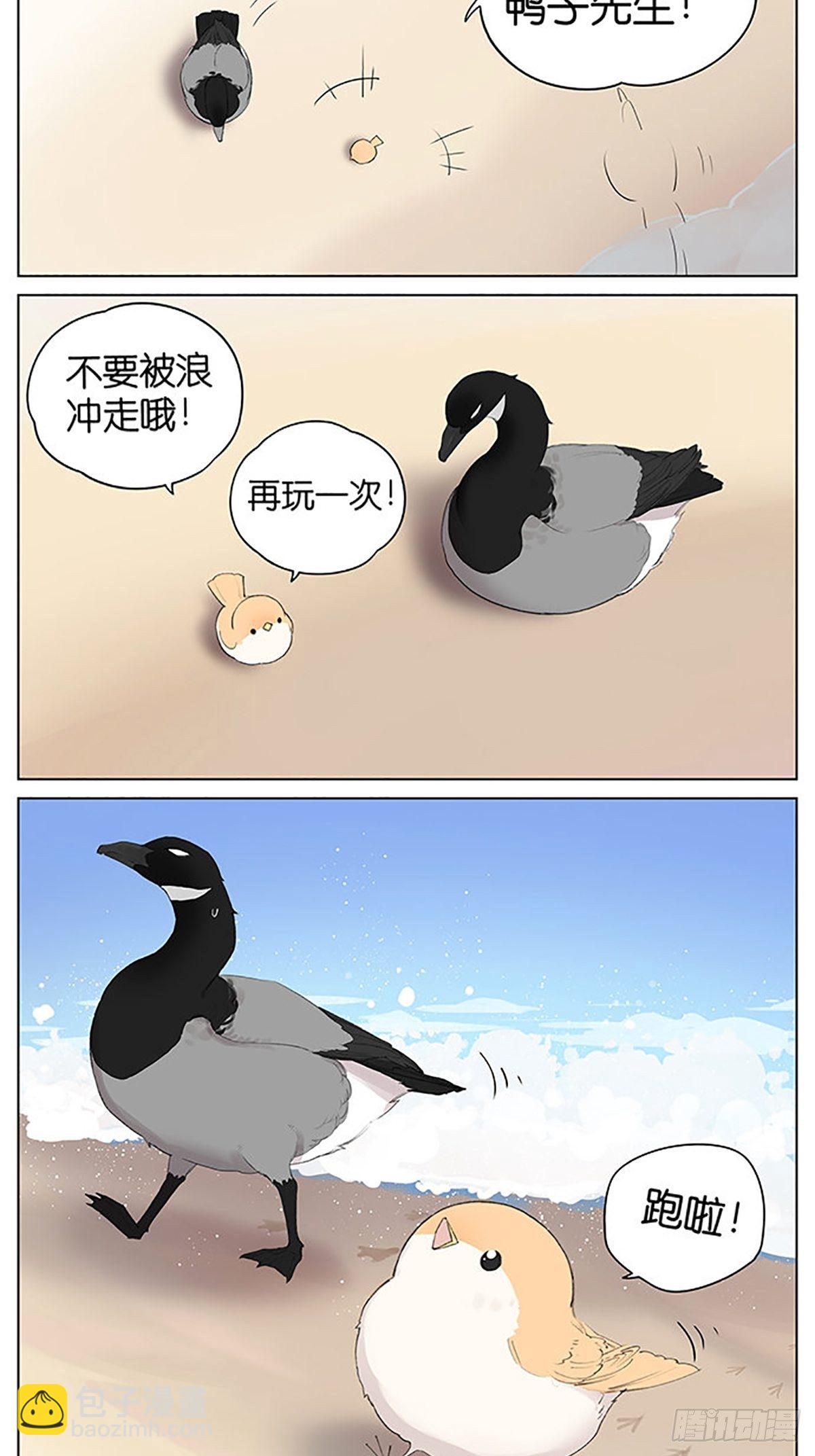 沙滩上的鸟，夏天啦！-第40话