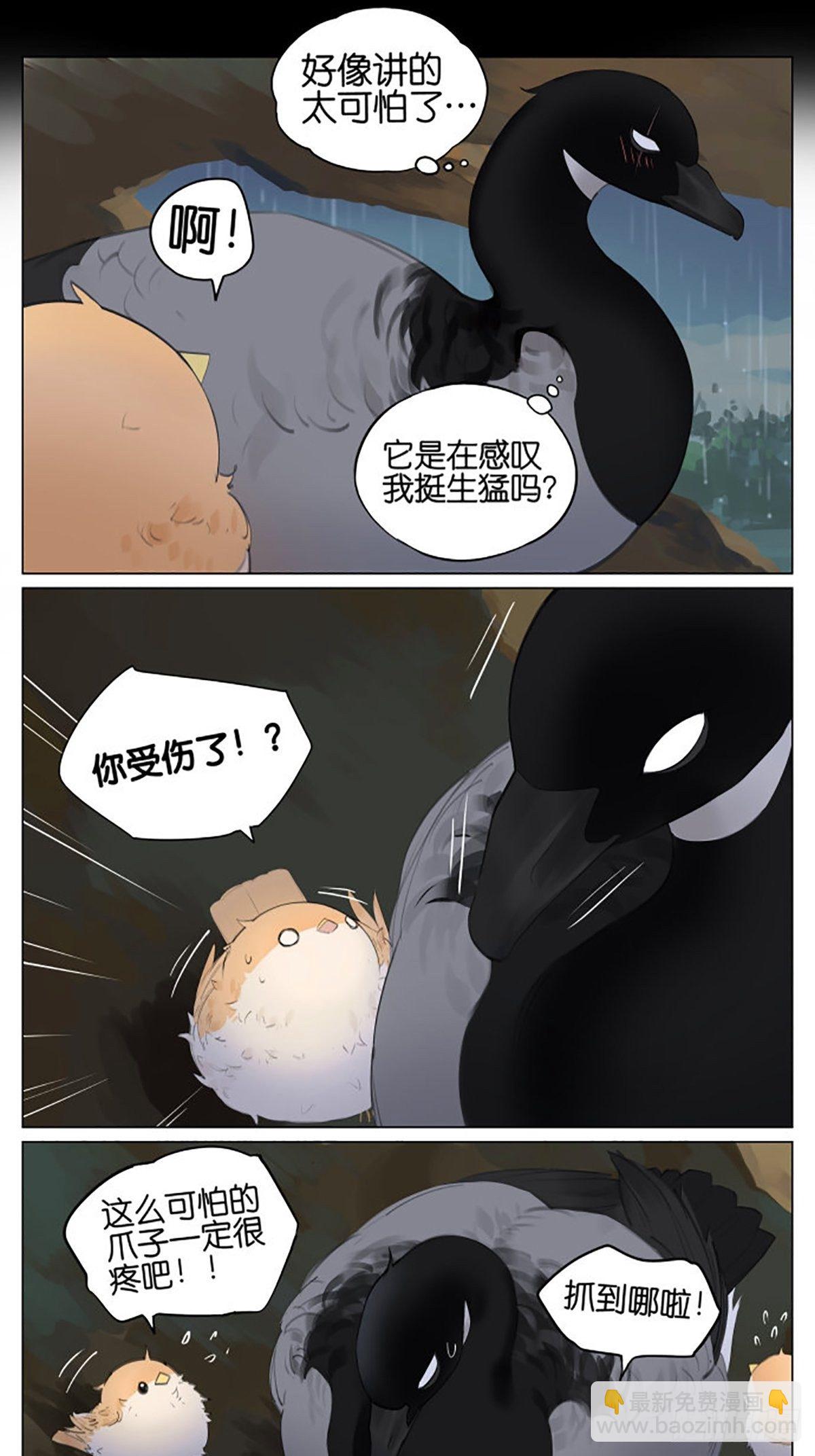 雷雨天的鸟-第42话