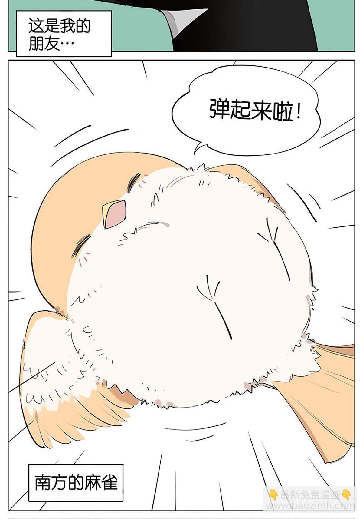 弹弹的小鸟-第46话
