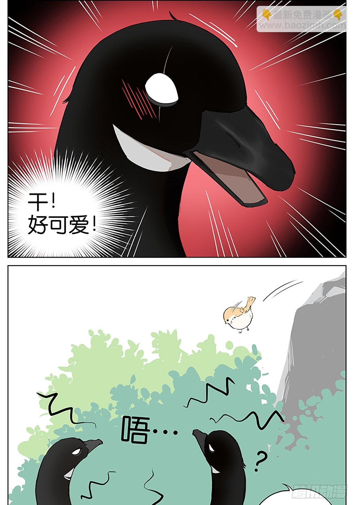 弹弹的小鸟-第46话