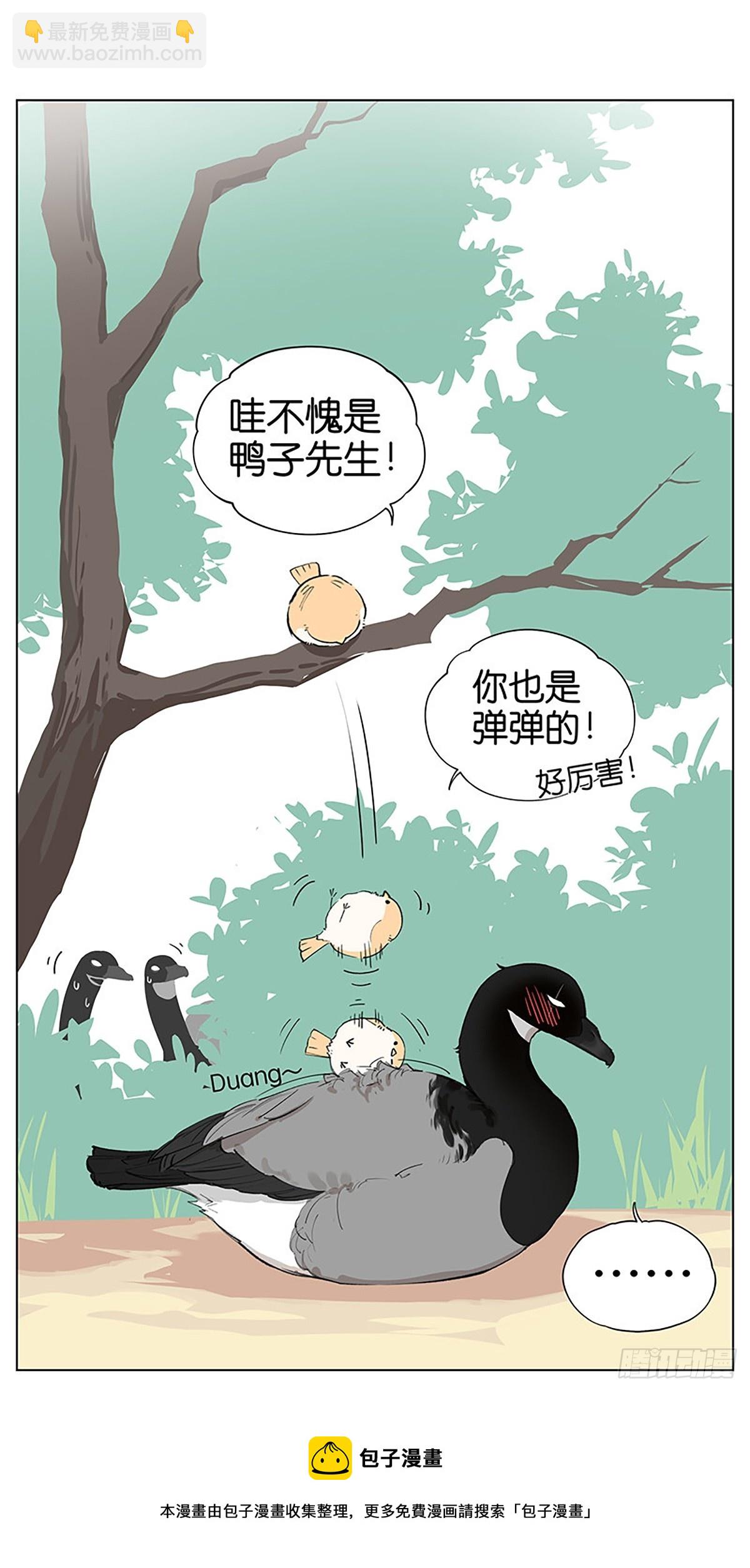 南方的鳥和北方的鳥 - 彈彈的小鳥 - 1