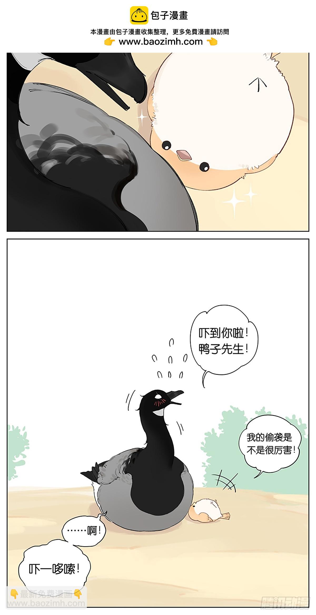 时刻警惕的鸟-第48话