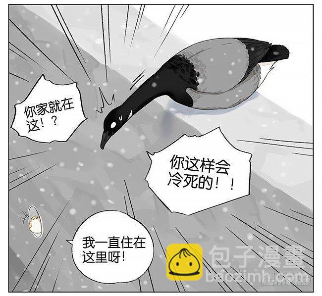 南方的鳥和北方的鳥 - 下雪了。 - 1