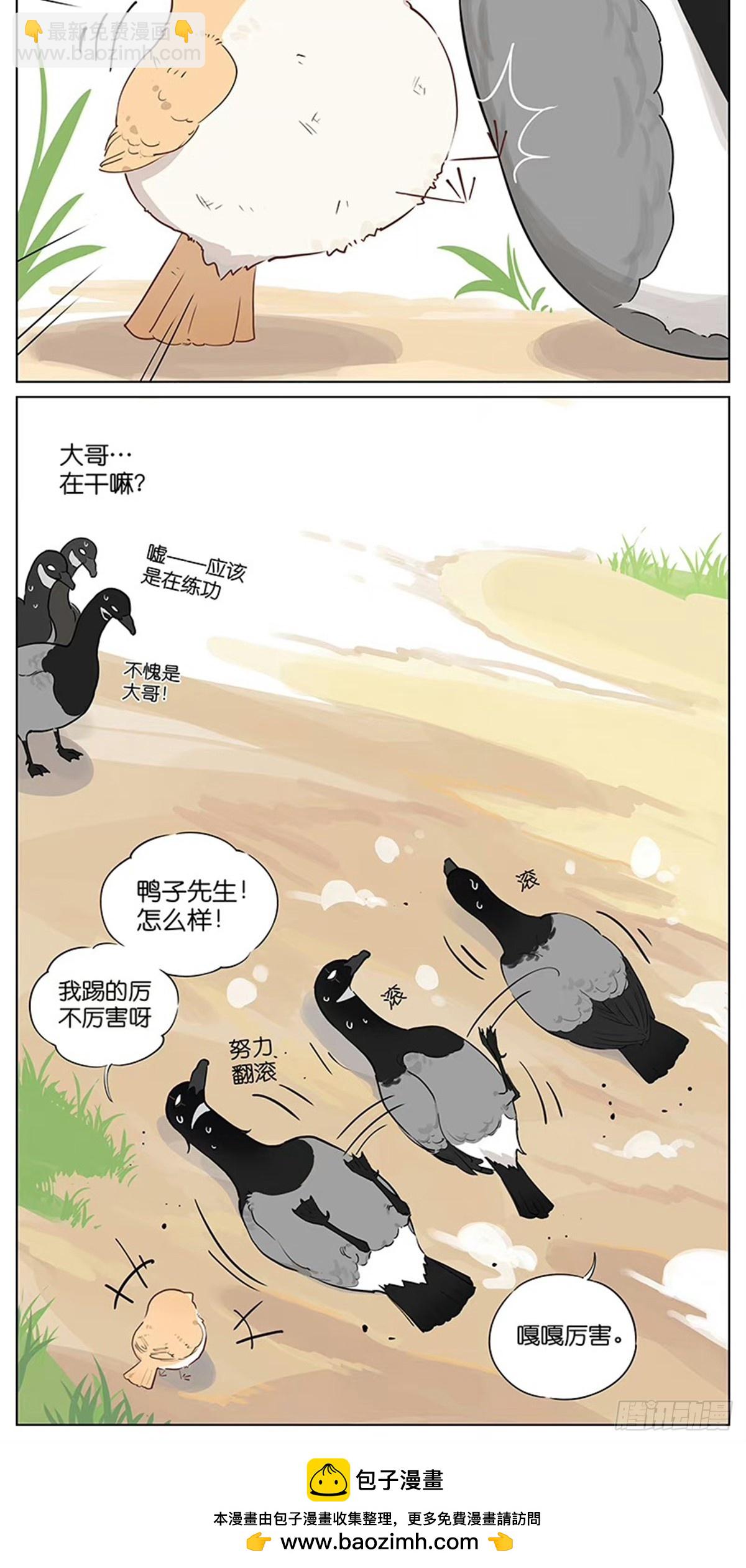 踢球游戏-第50话