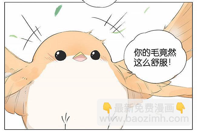 南方的鳥和北方的鳥 - 颳風。 - 2