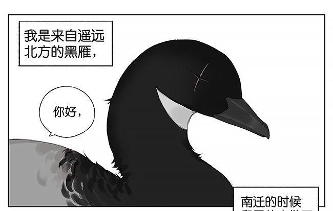 南方的鳥和北方的鳥 - 可愛。 - 1