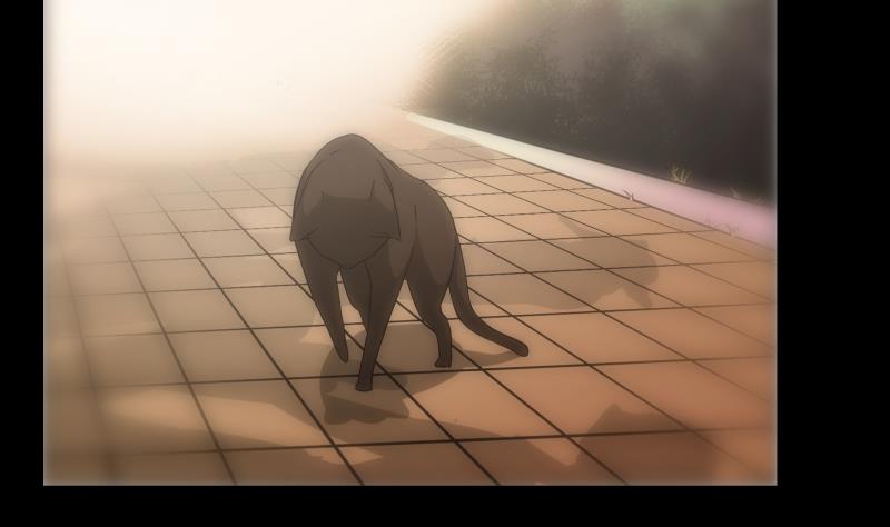 第14话 愿望(1/2)-第14话