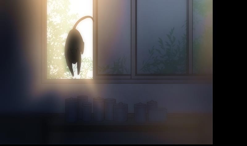 第14话 愿望(1/2)-第14话