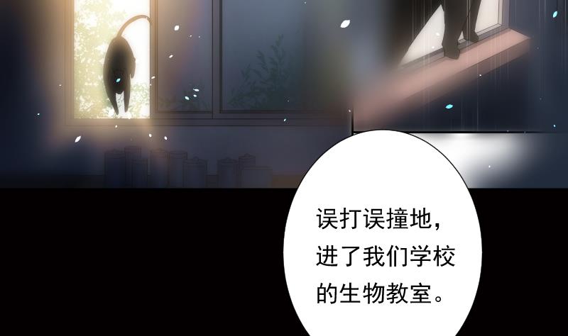 第16话 前因(1/2)-第16话