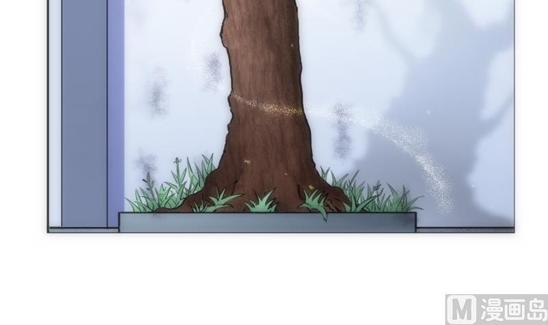 第38话 平息-第38话