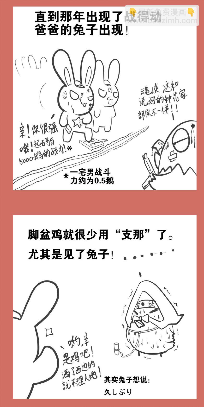 48 那年兔鸡那些事儿-第48话