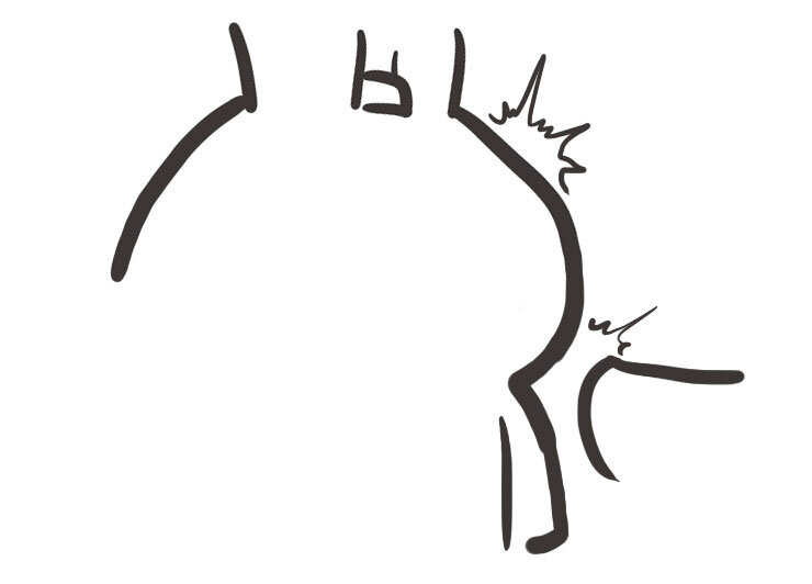 60 番外-那年那兔大船梦-拉开序幕-第60话
