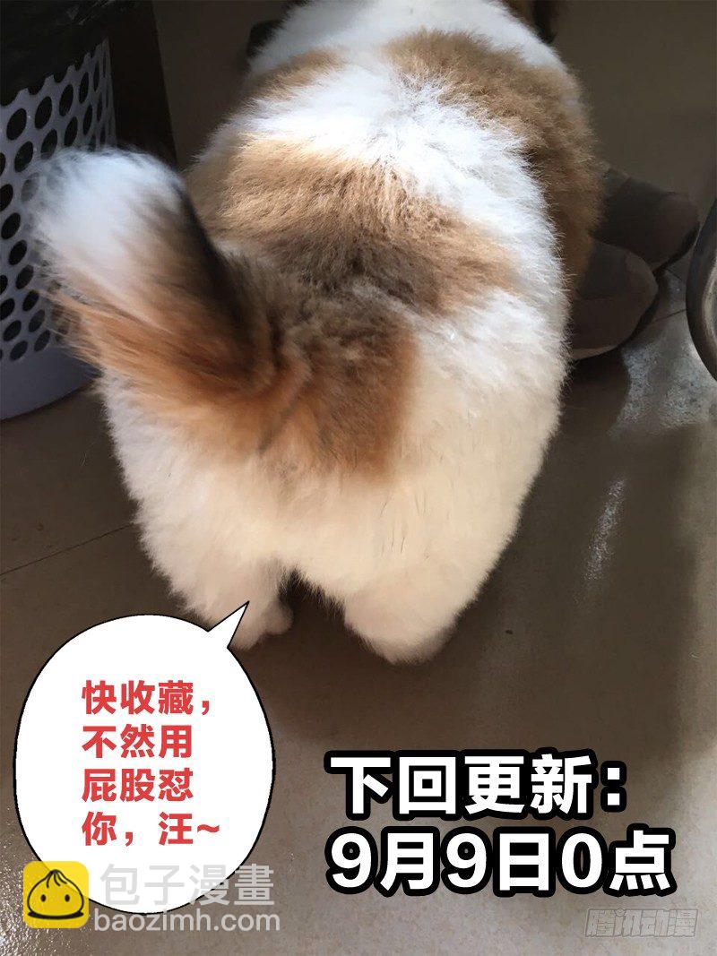 10：爱情从不可耻-第10话