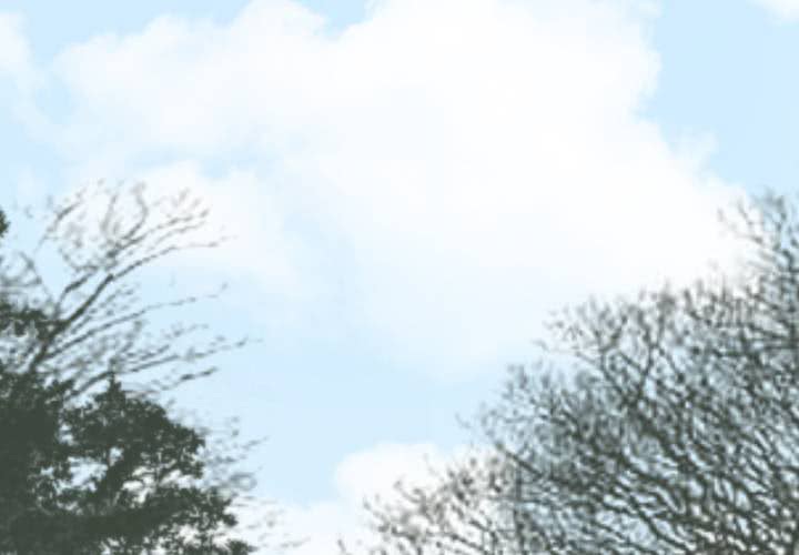 最终话 你终于来了，我们走吧。(1/2)-第38话