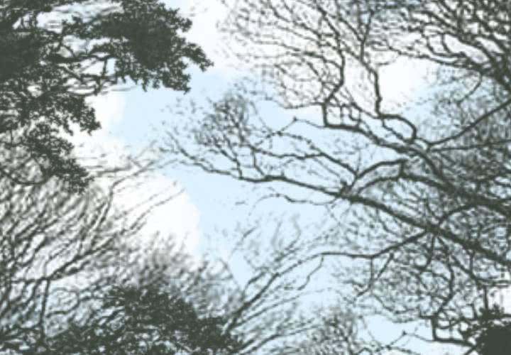 最终话 你终于来了，我们走吧。(1/2)-第38话