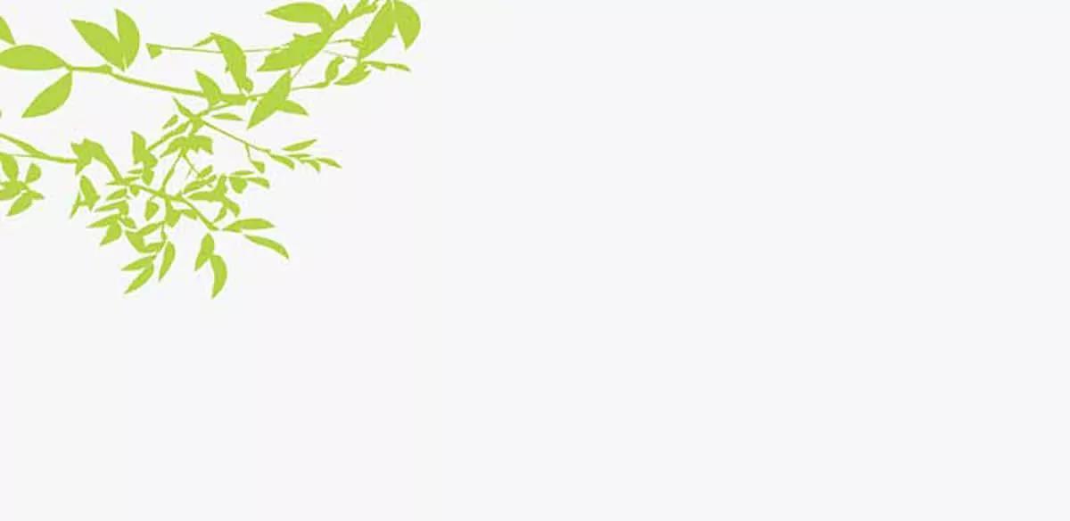 说话不算数(1/2)-第44话