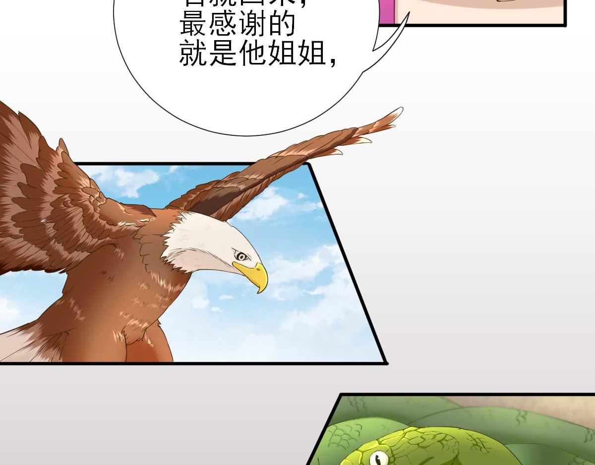 第51话  阴谋(1/2)-第52话