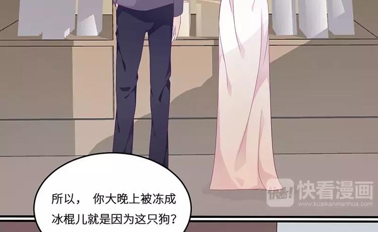 第18话 找到狗主人(1/2)-第18话