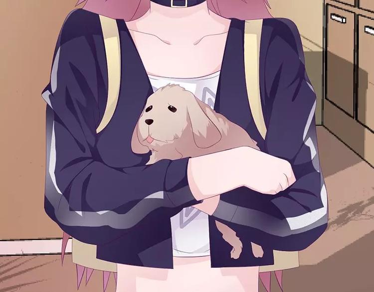 第18话 找到狗主人(1/2)-第18话