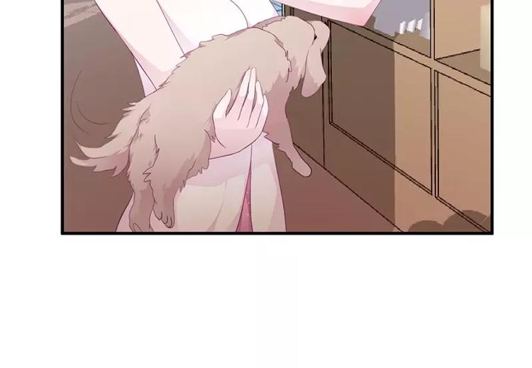 第18话 找到狗主人(1/2)-第18话