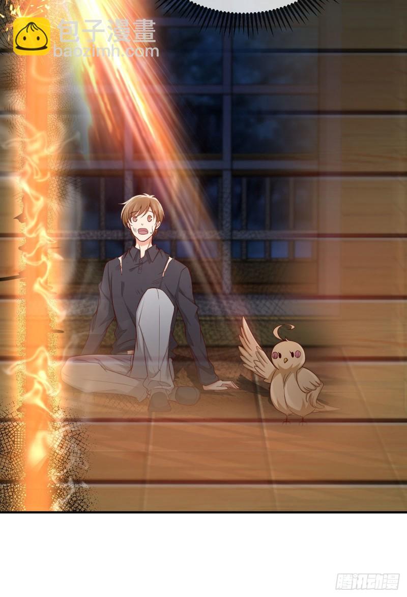 第107话 翘家小鸟被抓现场(1/2)-第110话