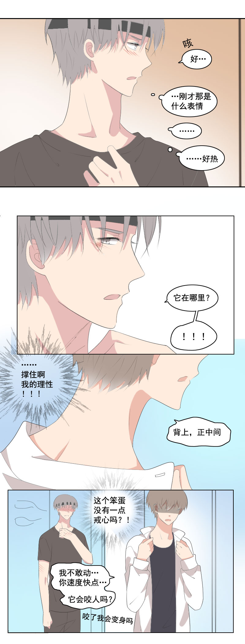 弱小无助又可怜-第40话