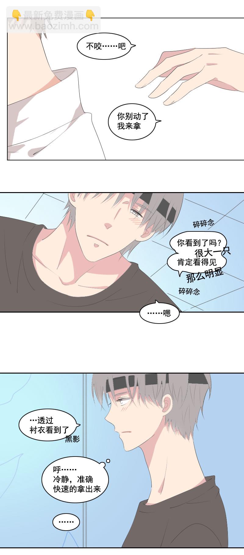 弱小无助又可怜-第40话