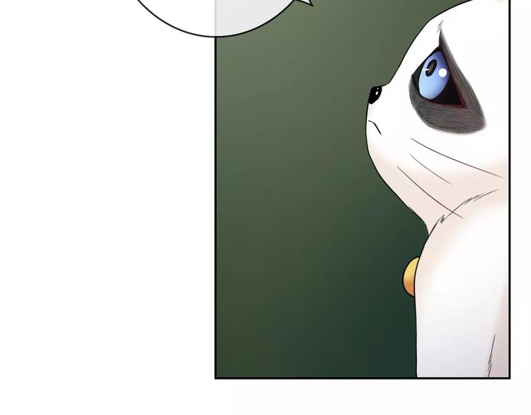 第76话 失忆符(1/2)-第78话