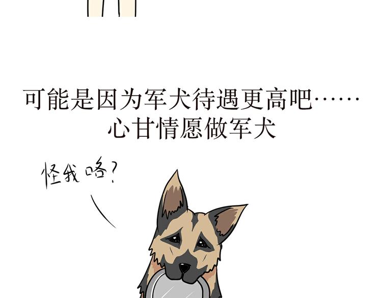 第2话 兵哥哥，你这么好为什么还单身-第2话