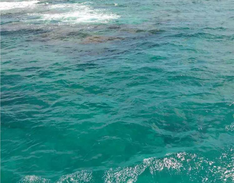 第52话 哪有什么岁月静好-第52话