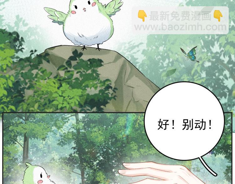 第4话 你的鸟&hellip;&hellip;(1/2)-第6话