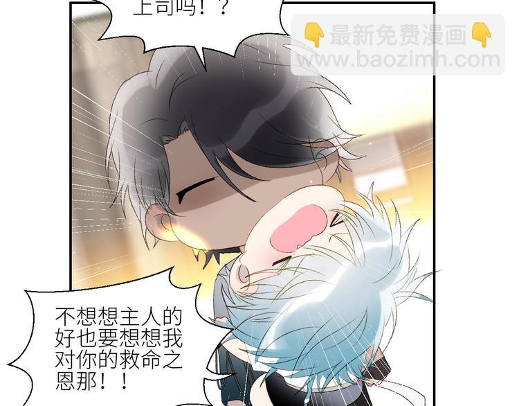 第39话  抉择(1/2)-第42话