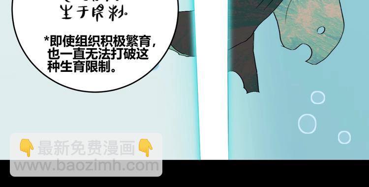 第7话  夜晚的危机(1/2)-第8话