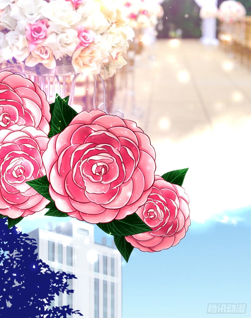 不是她的婚礼(1/2)-第84话