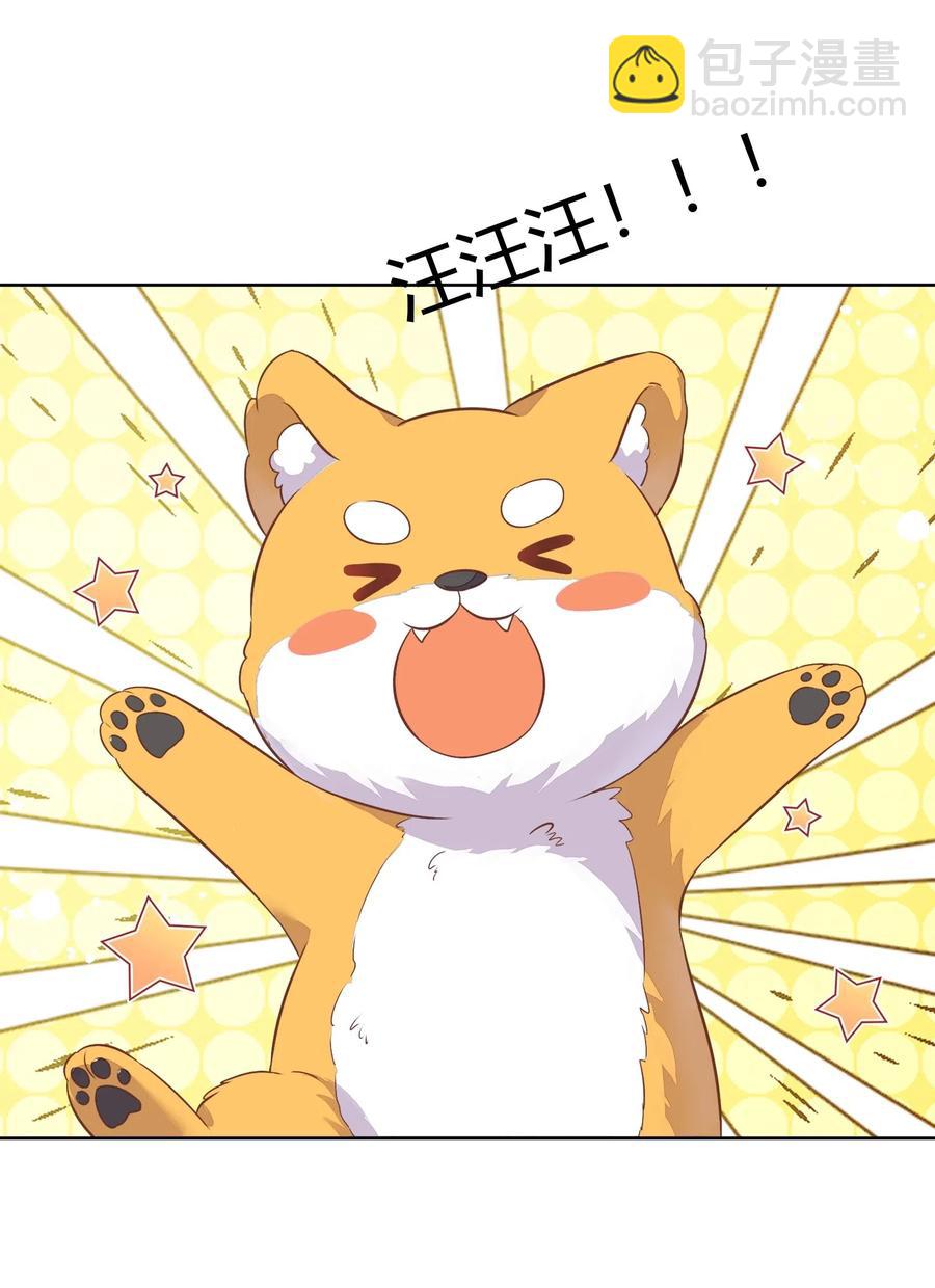 053 柴柴不想分开(1/2)-第62话